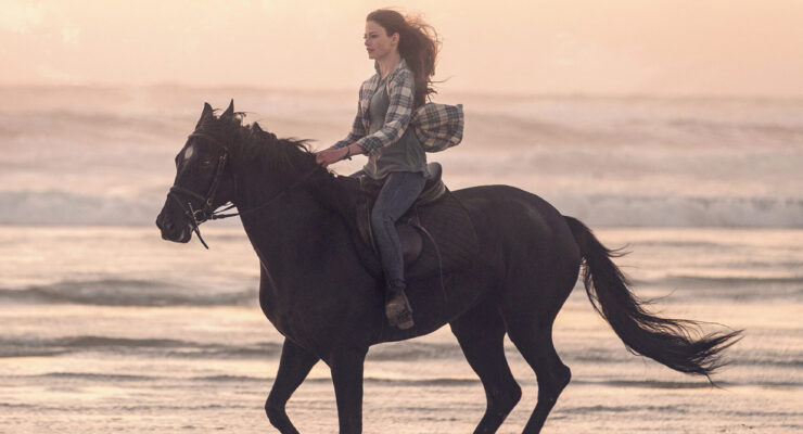 Black Beauty (2020)