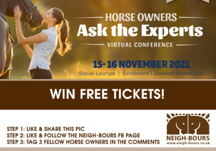 WIN Tickets to the Horse Owners Ask the Experts Virtual Conference