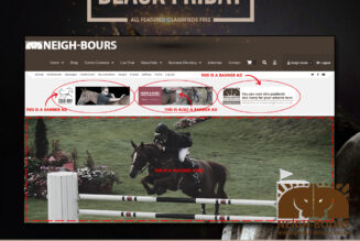 Neigh-Bours Black Friday FREEBIES!