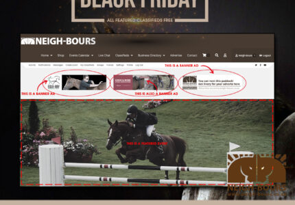 Neigh-Bours Black Friday FREEBIES!