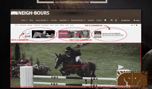 Neigh-Bours Black Friday FREEBIES!