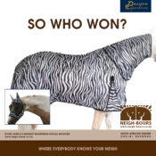 WINNERS DRAWING: Passion Equestrian Fly Sheet & Fly Mask