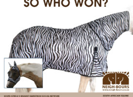 WINNERS DRAWING: Passion Equestrian Fly Sheet & Fly Mask