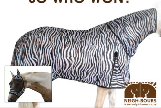 WINNERS DRAWING: Passion Equestrian Fly Sheet & Fly Mask