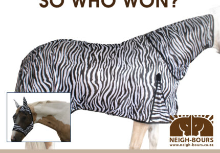 WINNERS DRAWING: Passion Equestrian Fly Sheet & Fly Mask