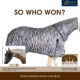 WINNERS DRAWING: Passion Equestrian Fly Sheet & Fly Mask