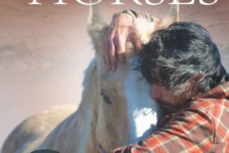 Land of the Horses: A True Story of a Lost Soul and a Life Found – Chris Lombard (2013)