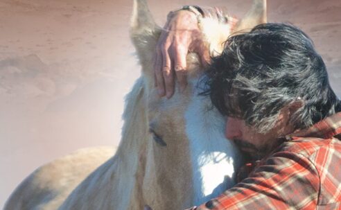 Land of the Horses: A True Story of a Lost Soul and a Life Found – Chris Lombard (2013)