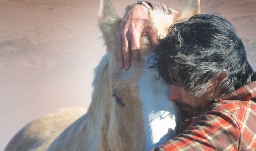 Land of the Horses: A True Story of a Lost Soul and a Life Found – Chris Lombard (2013)