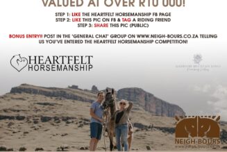 WIN a spot at the February Heartfelt Horsemanship Retreat