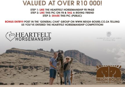 WIN a spot at the February Heartfelt Horsemanship Retreat