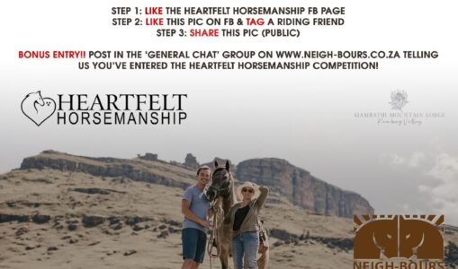WIN a spot at the February Heartfelt Horsemanship Retreat