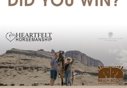 WINNERS DRAWING: Heartfelt Horsemanship Retreat