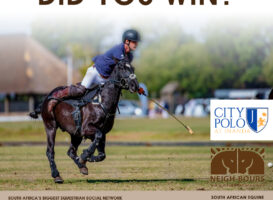 WINNERS DRAWING: Polo Lessons with City Polo