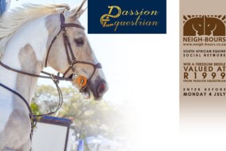 WIN a Freedom Bridle sponsored by Passion Equestrian