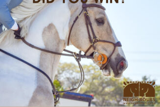 WINNERS DRAWING: Passion Equestrian Freedom Bridle