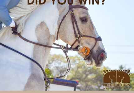 WINNERS DRAWING: Passion Equestrian Freedom Bridle