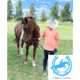 Safe and Steady Section B Welsh Pony