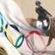Para Equestrian: Team