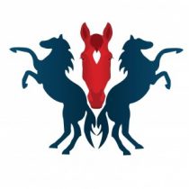 Profile picture of Equine Network