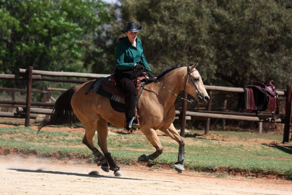 BUTTONS REINING 2008