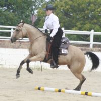 Buttons jump Easter Show 2010 
