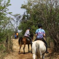 Outrides with Arabians  and QH 