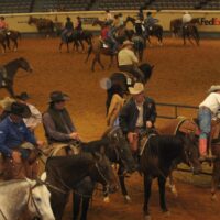 Riders at the AQHA World Championships 