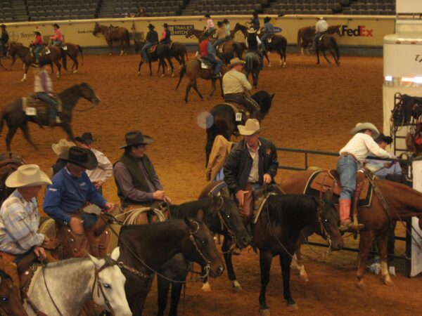 Riders at the AQHA World Championships