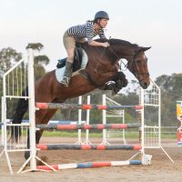 Prinz jumping at Zonnehoeve 