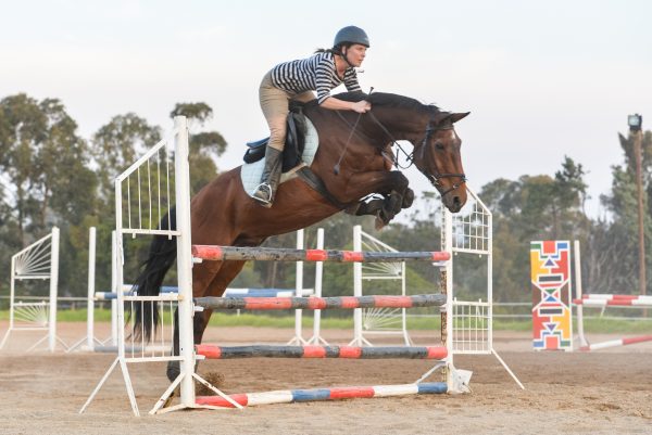 Prinz jumping at Zonnehoeve