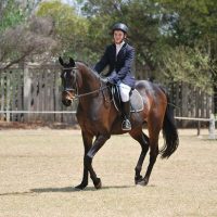 Danny Dressage smaller 