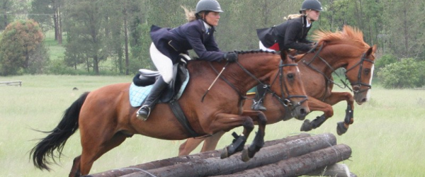 Neigh-bours