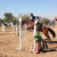Sunlands Sept 2012 015 