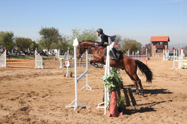 Sunlands Sept 2012 015